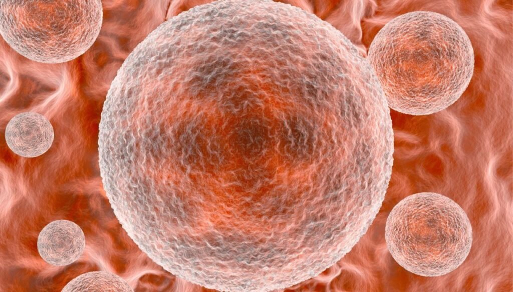 Clamidia: diagnosi, cura e prevenzione