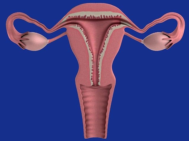 Endometriosi e infertilità: diagnosi e scelte di cura