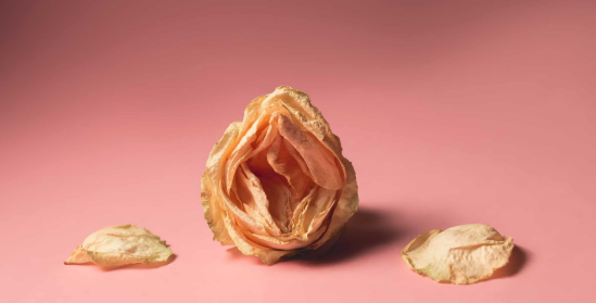 Secchezza vaginale: cause e opzioni di sollievo
