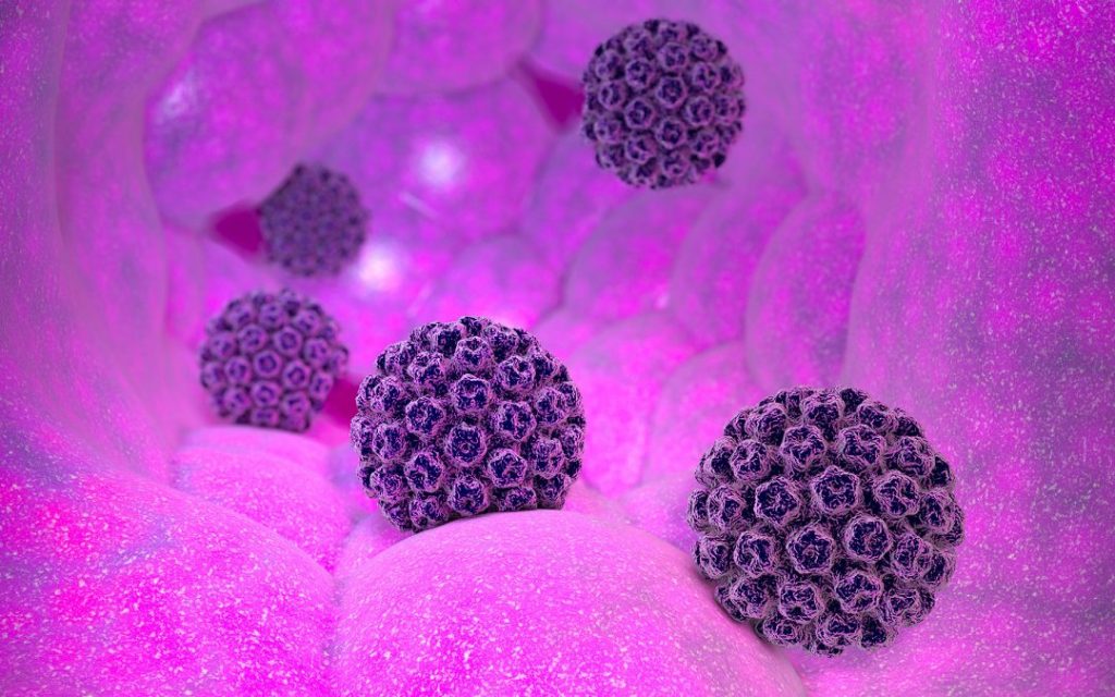 Papilloma Virus: sintomi, prevenzione e trattamento