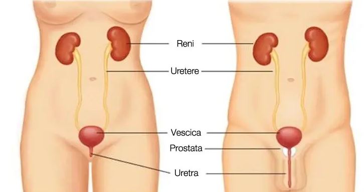 Ritenzione urinaria femminile