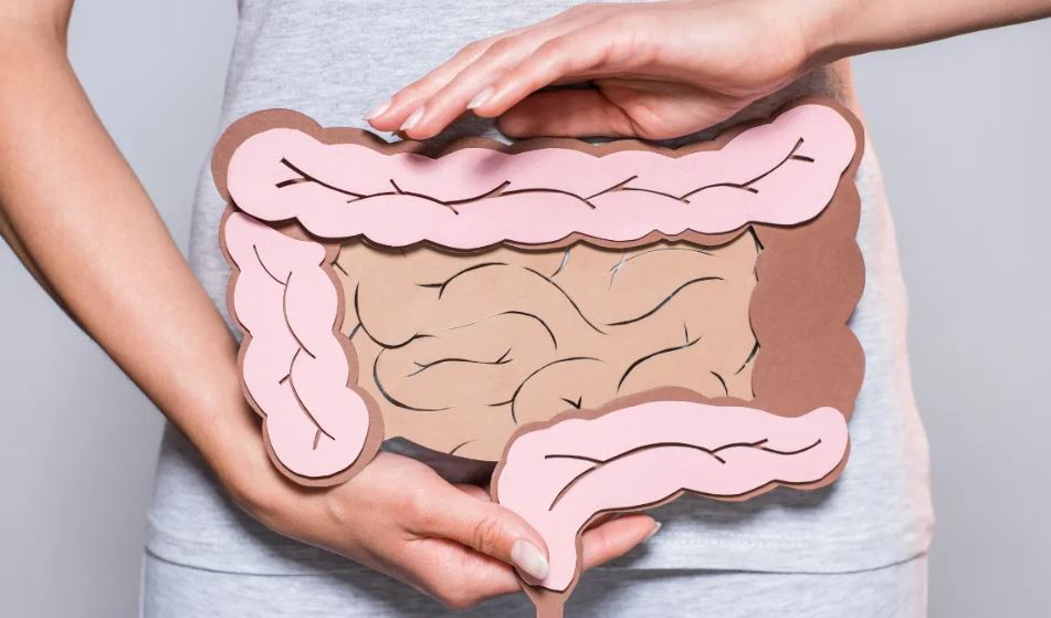 Sindrome dell’intestino permeabile e salute ormonale