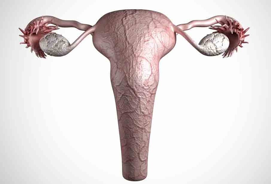infiammazione tube di Falloppio ginecologia