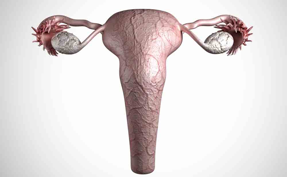 infiammazione tube di Falloppio ginecologia
