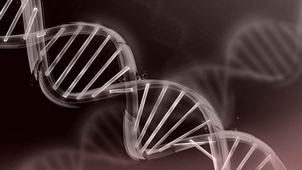 sindrome di Kallmann diagnosi trattamento cause