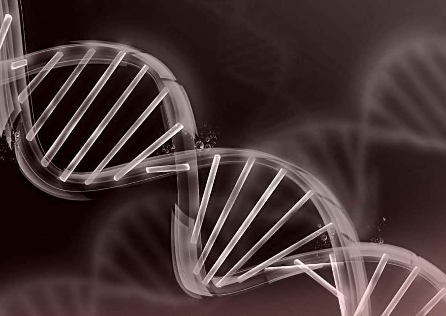 sindrome di Kallmann diagnosi trattamento cause