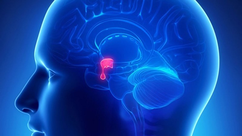 sindrome di Sheehan diagnosi e trattamento